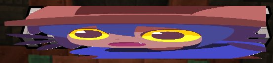 NikoTech SMP banner